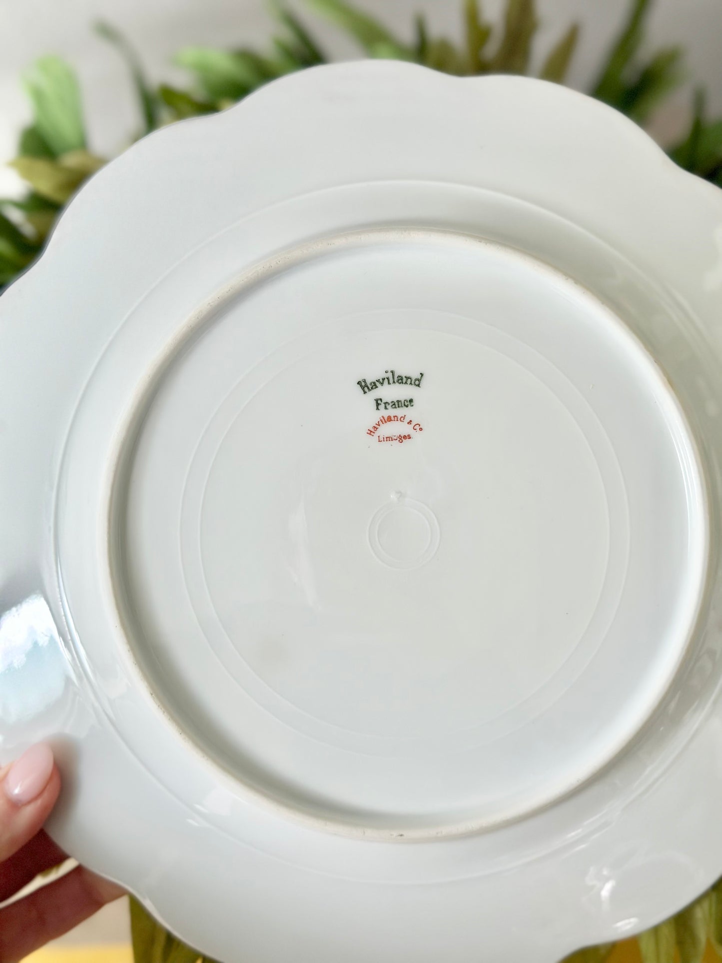 Haviland & Co Limoges Plates - Set of 6