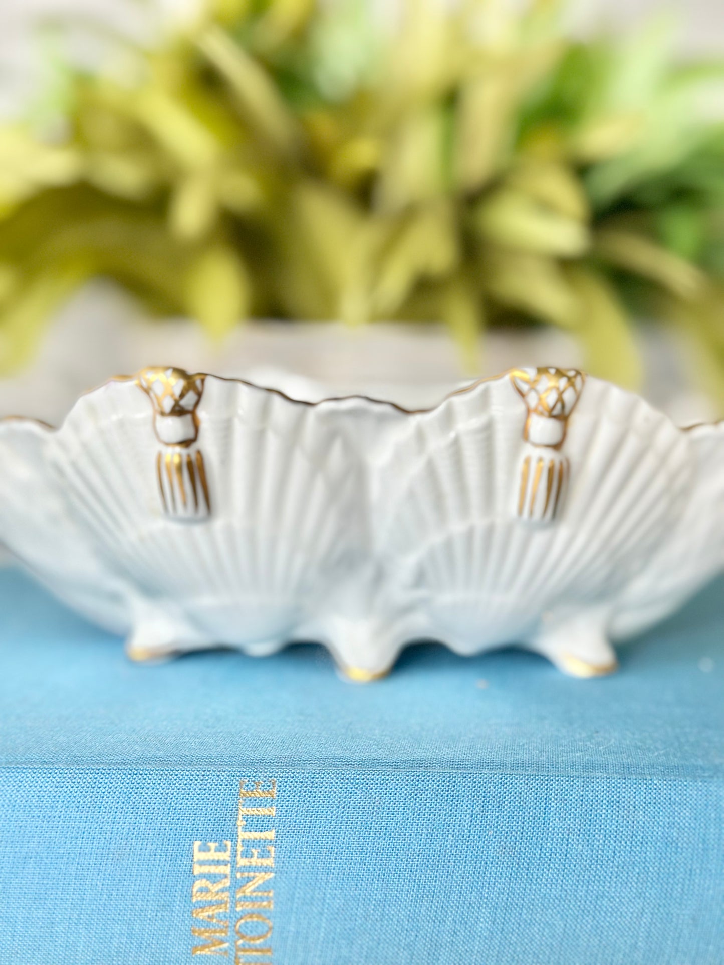 Aynsley Pembroke Oval Shell Dish