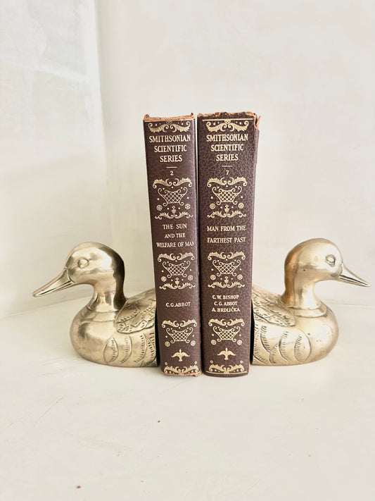 Brass Duck Bookends