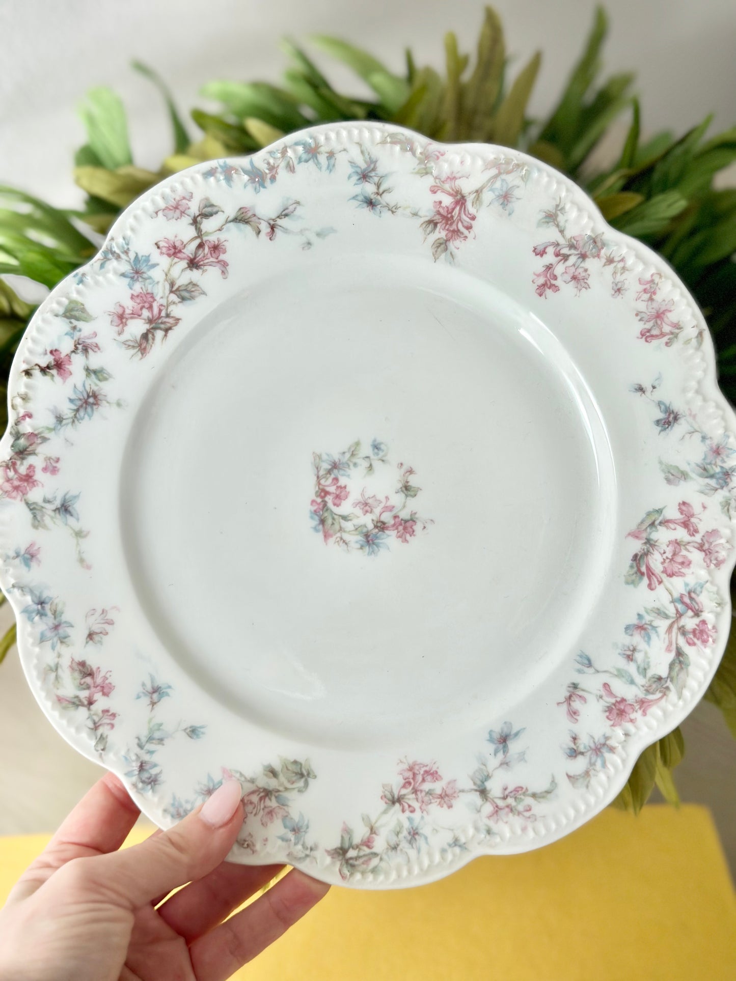 Haviland & Co Limoges Plates - Set of 6