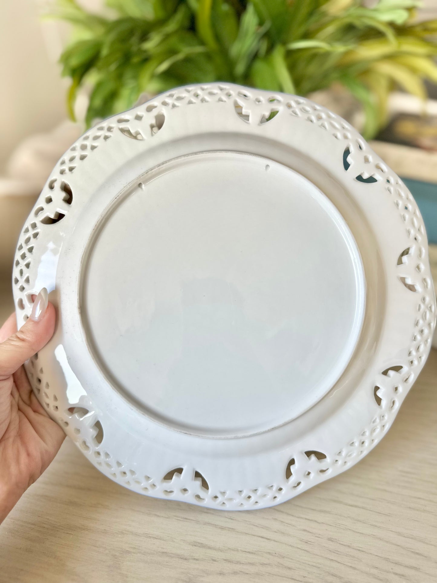 Reticulated Blue and White Plate