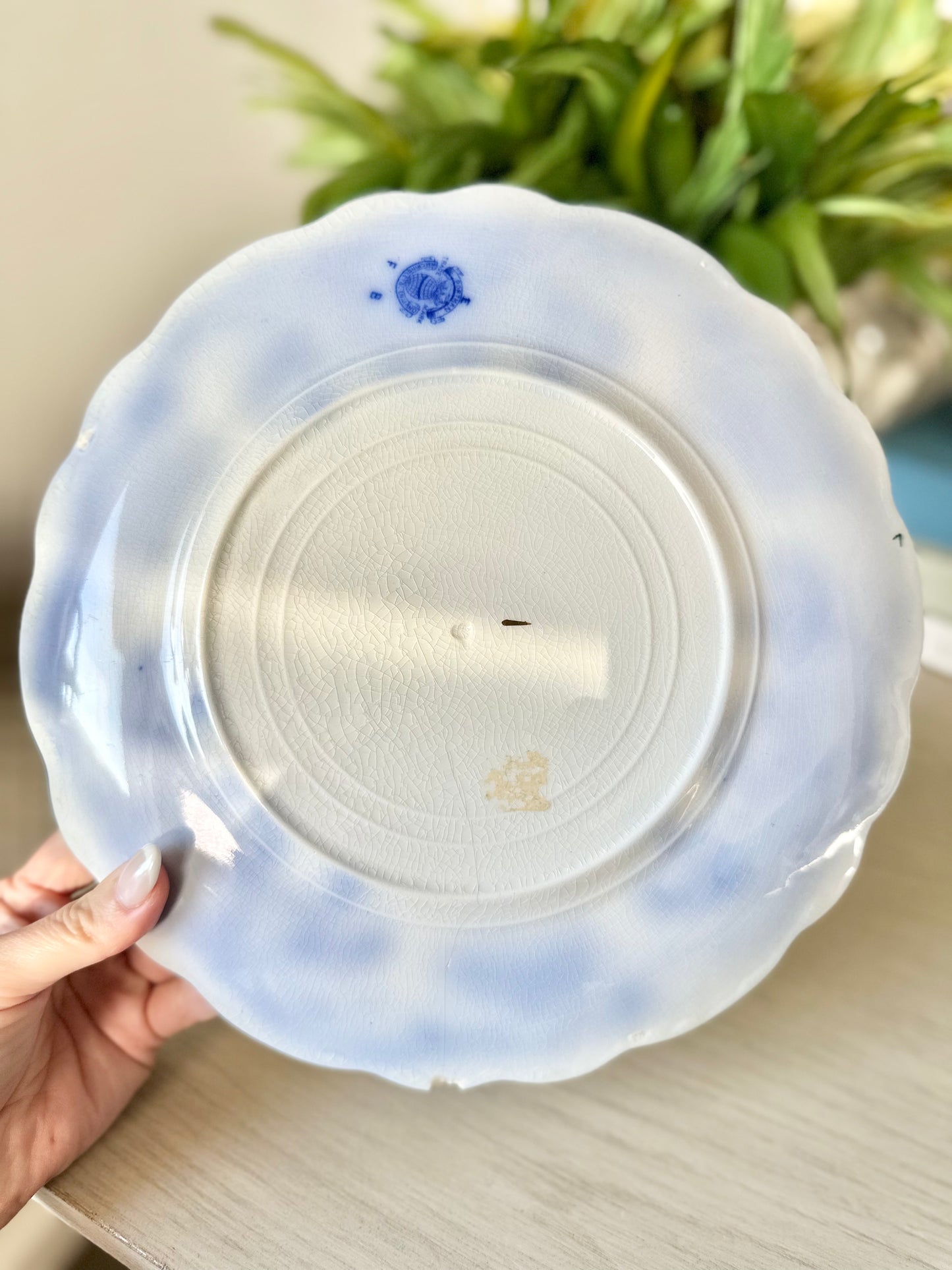 Portman Flow Blue Plate