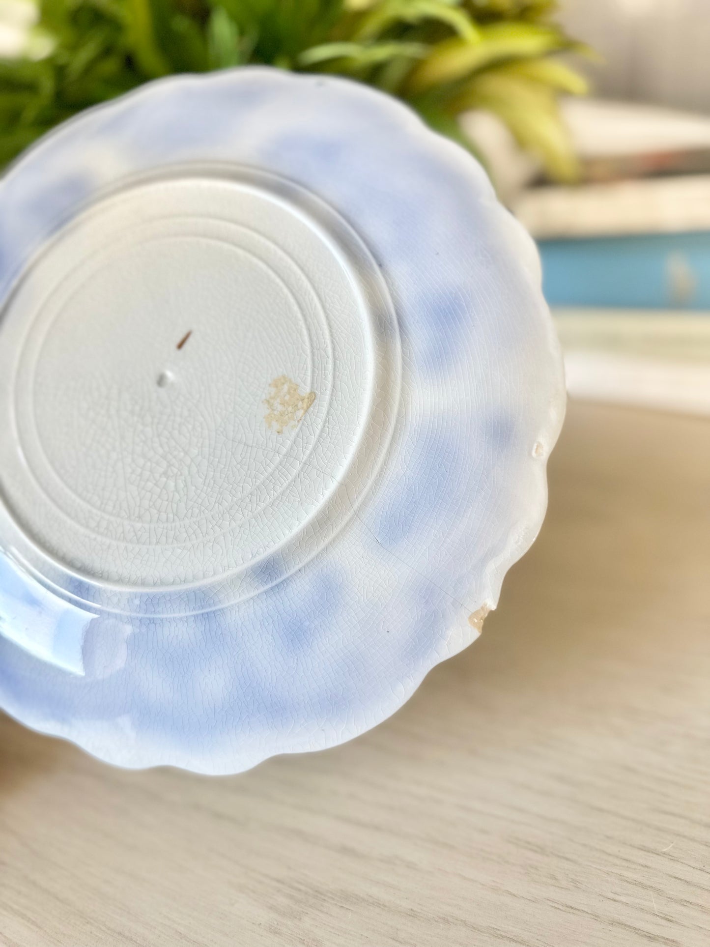 Portman Flow Blue Plate