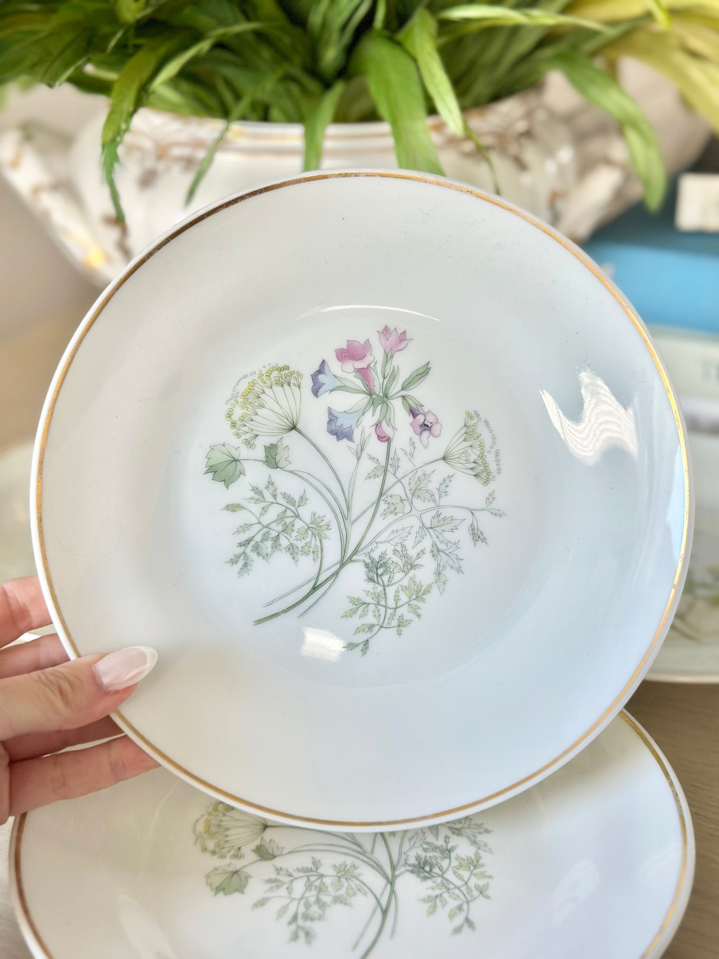 Richard Ginori Primavera Salad Plates - Set of 6