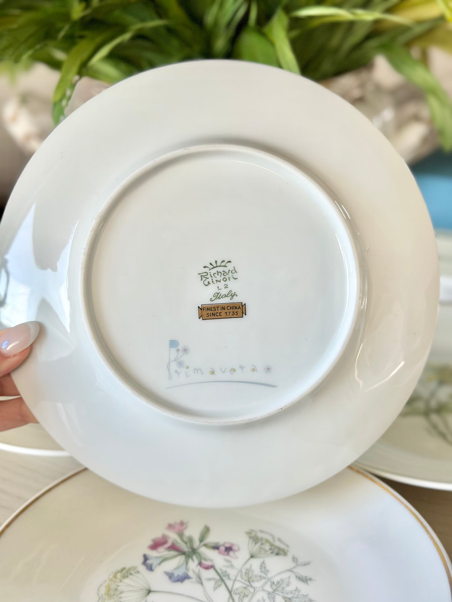 Richard Ginori Primavera Salad Plates - Set of 6