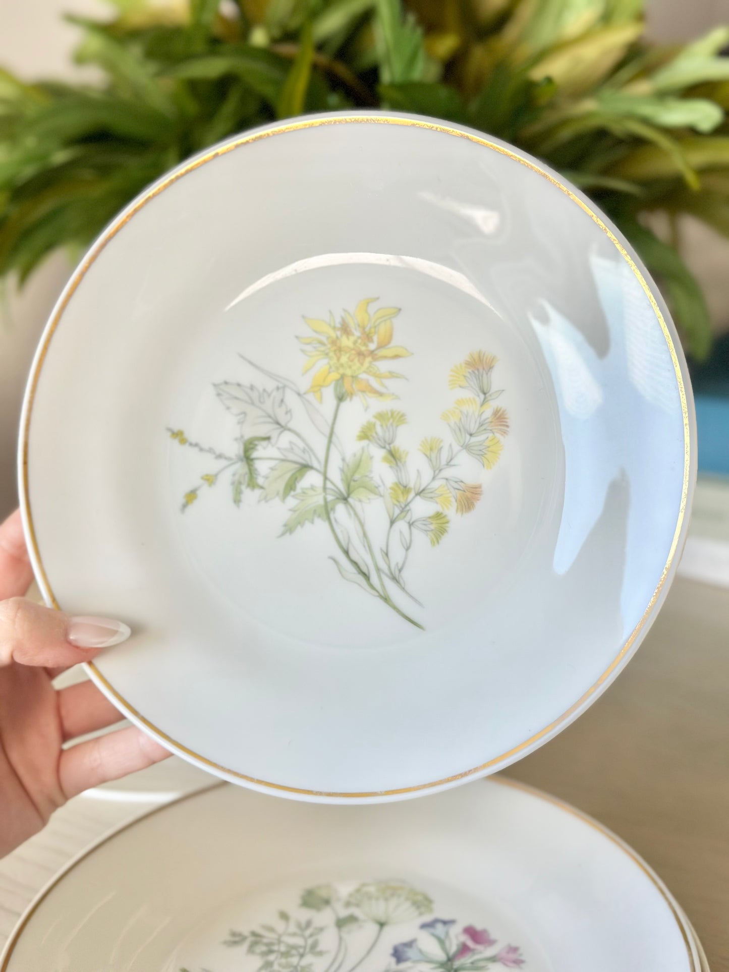 Richard Ginori Primavera Salad Plates - Set of 6