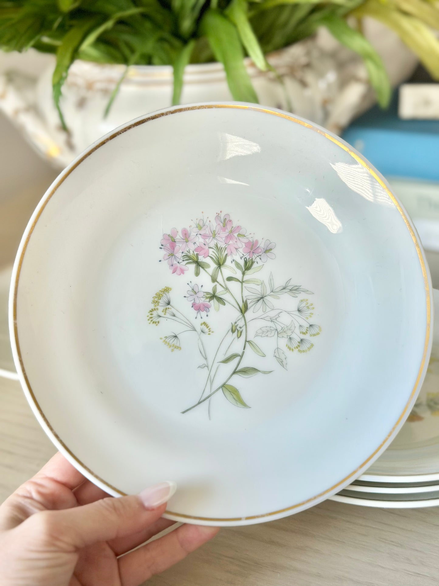 Richard Ginori Primavera Salad Plates - Set of 6