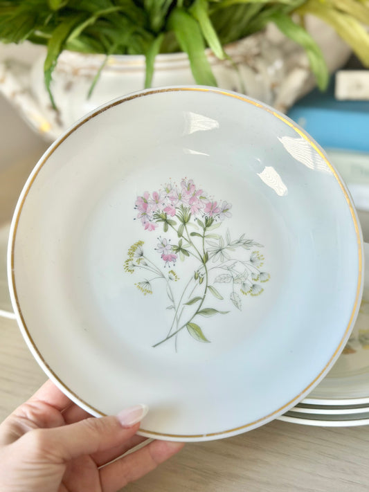 Richard Ginori Primavera Salad Plates - Set of 6